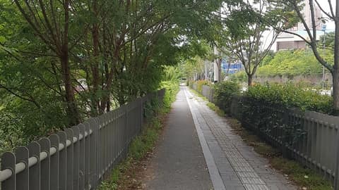 도심건강길 6코스 무등산 진입로변 숲길 사진 1