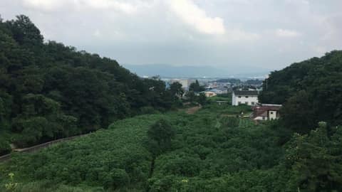 말봉산 숲길 사진 1