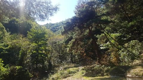 미숭산 둘레길 3코스(용1리-합천군) 사진 1