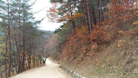 불영사계곡 녹색길 3코스 사진 1