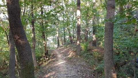 사계 솔바람길 사진 1