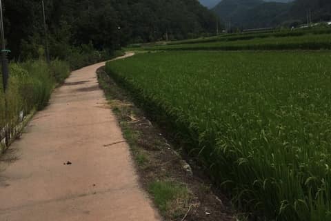 산수유마을 생태탐방로 사진 1