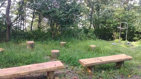 신안 송공산 등산길 분재공원 가는 길 사진 1