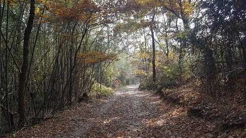 아름다운 순례길 5코스 사진 1