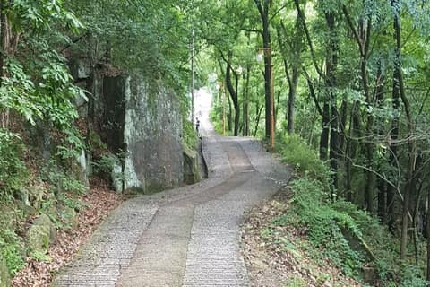 앞산 전망대길 사진 1