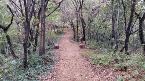 어등산 탐방 누리길 사진 1