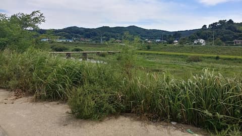 장암 송죽 억새길 사진 1