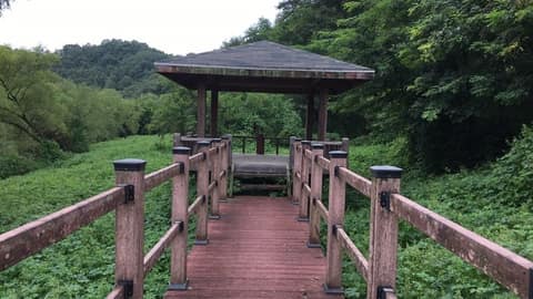 에코뮤지엄트레길 습지관찰로 사진 1