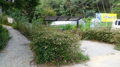 입화산 참살이 숲길 2코스 사진 1