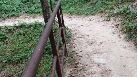 정릉숲 산책길 사진 1
