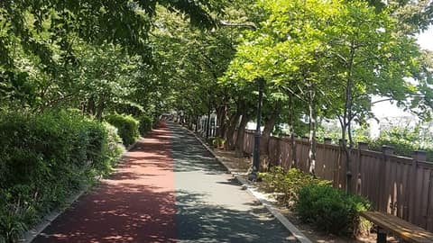 중랑천 벚꽃길 사진 1