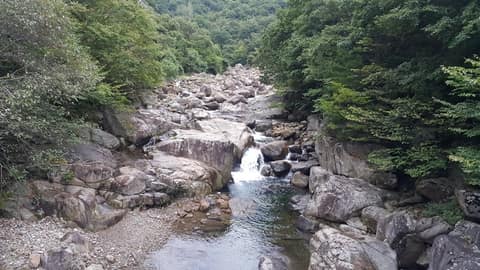 지리산 자락길 사진 1