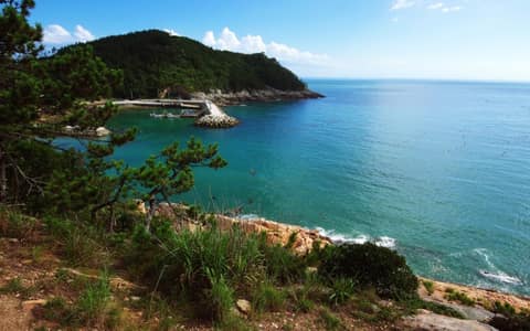 청산도 슬로길 04코스 낭길 사진 1
