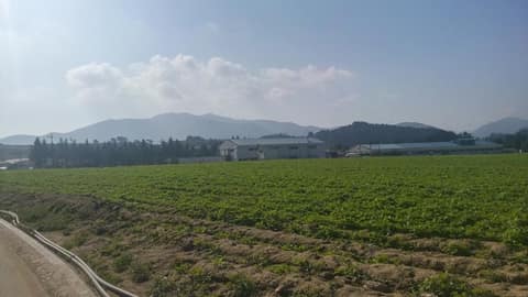 happy700길 고원마루 목장길 사진 1