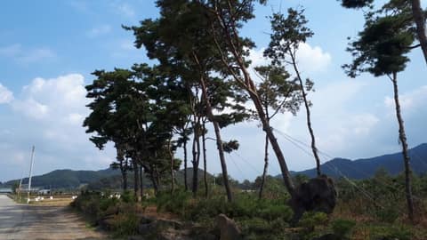 한여울길 3코스 사진 1