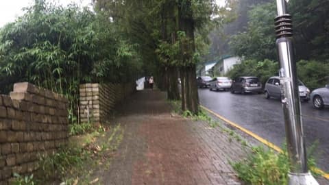 보문산 산책길 사진 1