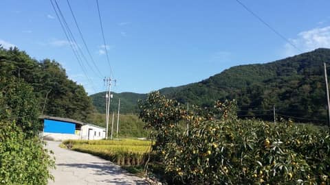 고려황제현종부자상봉길 사진 1