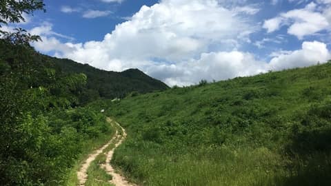 청계호수 산책로 사진 1