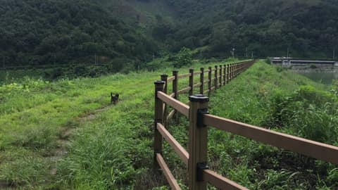 몰래길 성곡지 주변로 사진 1