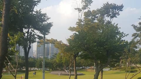 강동그린웨이 걷기대회 코스 사진 1