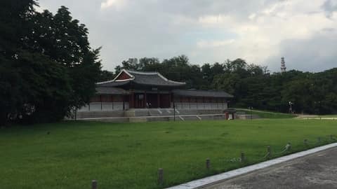 덕수궁 산책길 사진 1