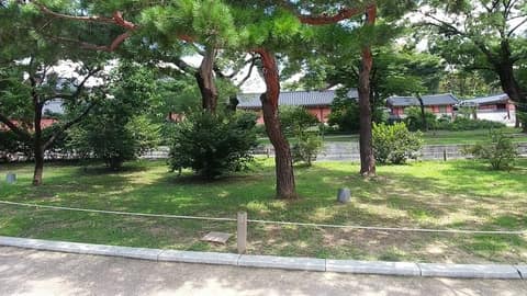 서울도보관광코스 창덕궁 사진 1
