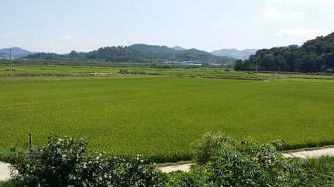 화포천 아우름길 사진 1