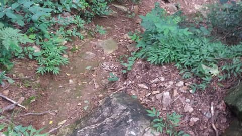 전주 도란도란 시나브로길 사진 1