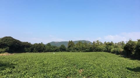 갑마장 및 가름질 갑마장길 사진 1
