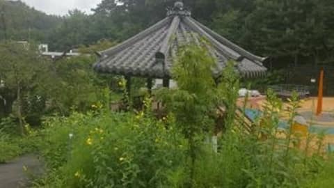 금강 솔바람길 1코스 봉황술래길 사진 1