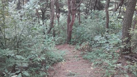 천년 마중길 1코스 사진 1