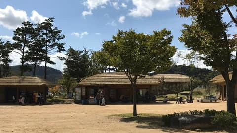 삼강-회룡포 강변길 사진 1