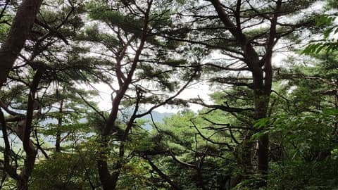토성산성 어울길 2코스 남한산성길 사진 1