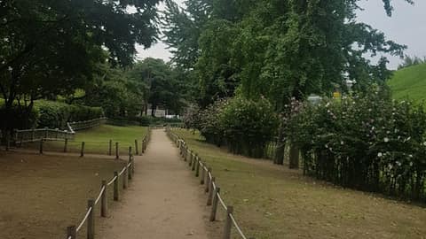 한성백제왕도길 사진 1