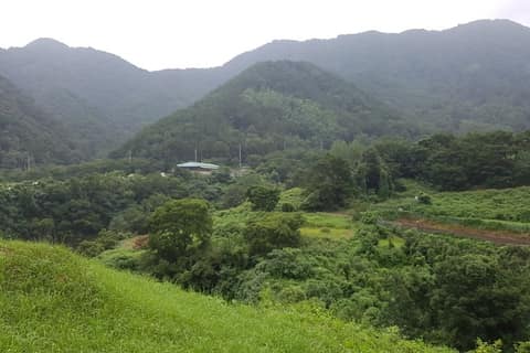 마비정 누리길 3코스 사진 1
