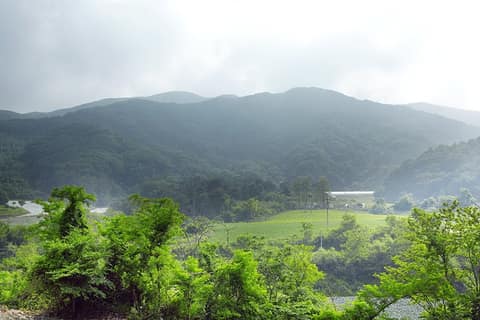 happy700길 대미산 사진 1
