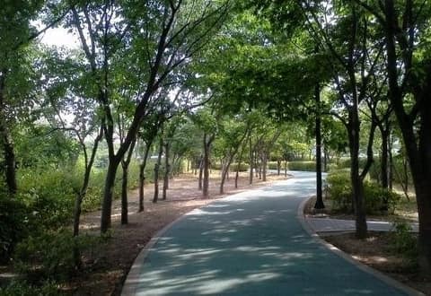 양재천 산책길 사진 1