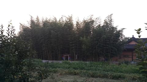 산청백의종군로 사진 1