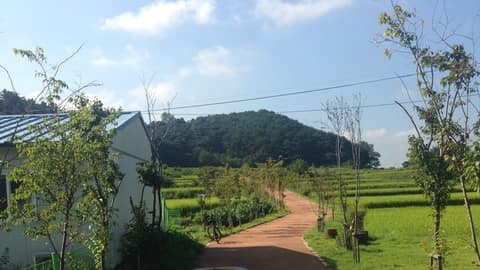 남산둘레길 동남산가는길 사진 1
