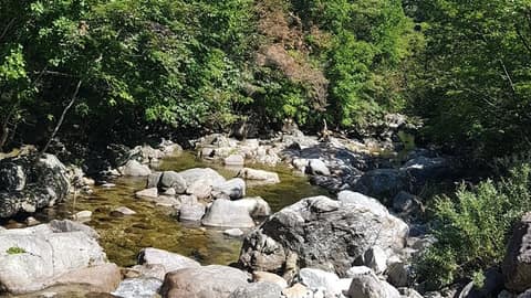 비수구미 생태길 사진 1