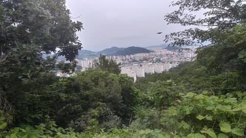 양을산 둘레길 1코스 양을산 주등산로 사진 1
