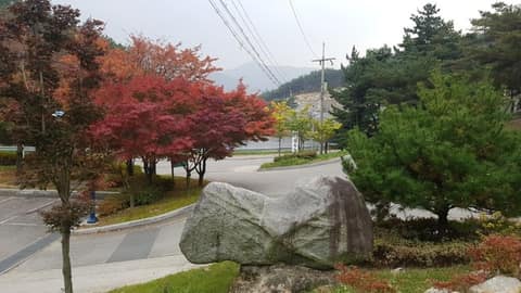 천생산성 산림욕장 사진 1