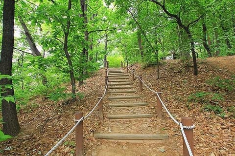 의정부소풍길 하늘전망대길 사진 1