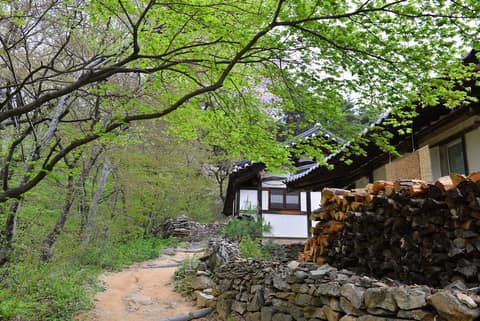 봉정사-개목사 산사탐방로 사진 1