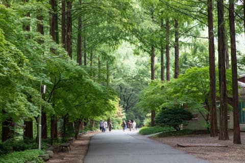 장태산자연휴양림 산책로 사진 1