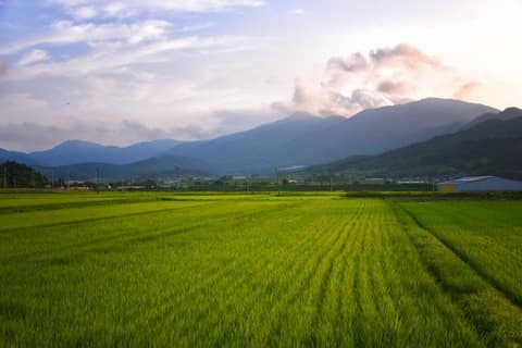 제암산 자연휴양림 더늠길 사진 1