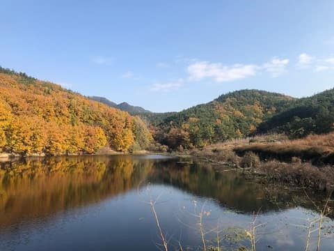 팔공산 녹색길 2코스 사진 1