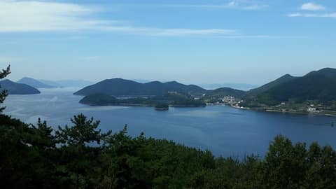 섬&섬길 맹종죽순 체험길 사진 1