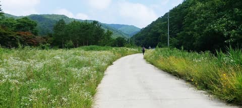 원주굽이길 원6코스 황효자길 사진 1