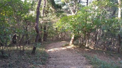 섬&섬길 앵산꾀꼬리길 사진 1